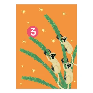 Age 3 Party Lemurs Birthday Greetings Card by Hutch Cassidy