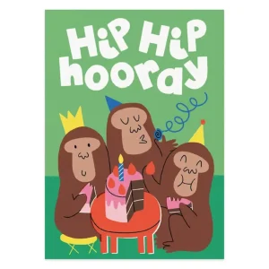 Hip Hip Hooray Birthday Greetings Card by Studio Boketto