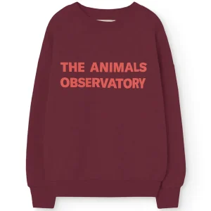 Leo Kid Sweatshirt in Browned Garnet by The Animals Observatory