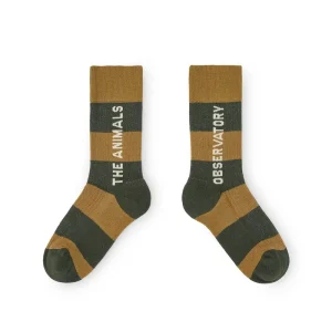 Worm Kids Socks in Brown by The Animals Observatory