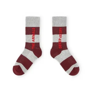 Worm Kids Socks in Grey by The Animals Observatory