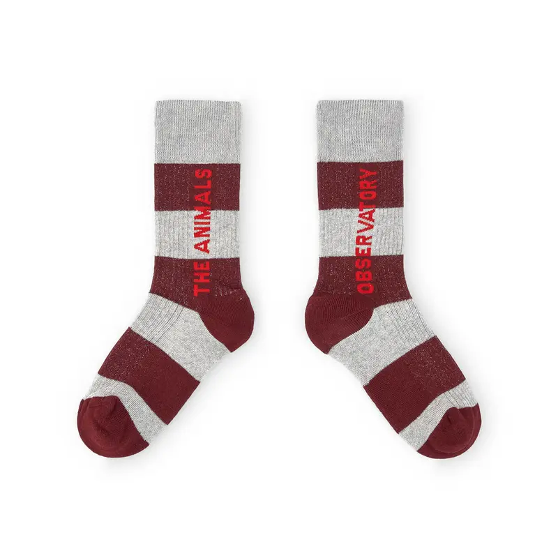 Worm Kids Socks in Grey by The Animals Observatory