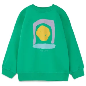 Aerosol Sweatshirt in Green by True Artist