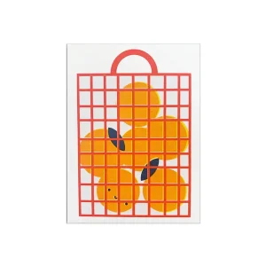 Seville Orange Greetings Card by Scout Editions