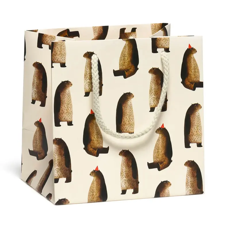 Party Bears Small Gift Bag By Red Cap Cards