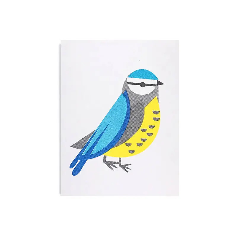 Blue Tit Greetings Card by Scout Editions