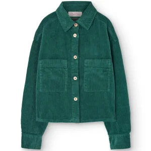 Beaball Kid Shirt in Green by The Animals Observatory