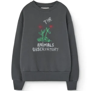 Bear Kid Sweatshirt in Dark Grey by The Animals Observatory