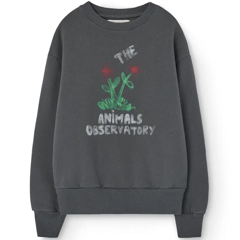 Bear Kid Sweatshirt in Dark Grey by The Animals Observatory