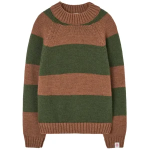 Boxfish Kid Sweater in Brown by The Animals Observatory