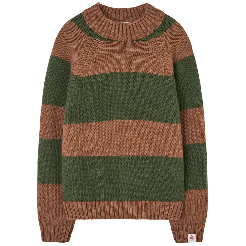 Boxfish Kid Sweater in Brown by The Animals Observatory