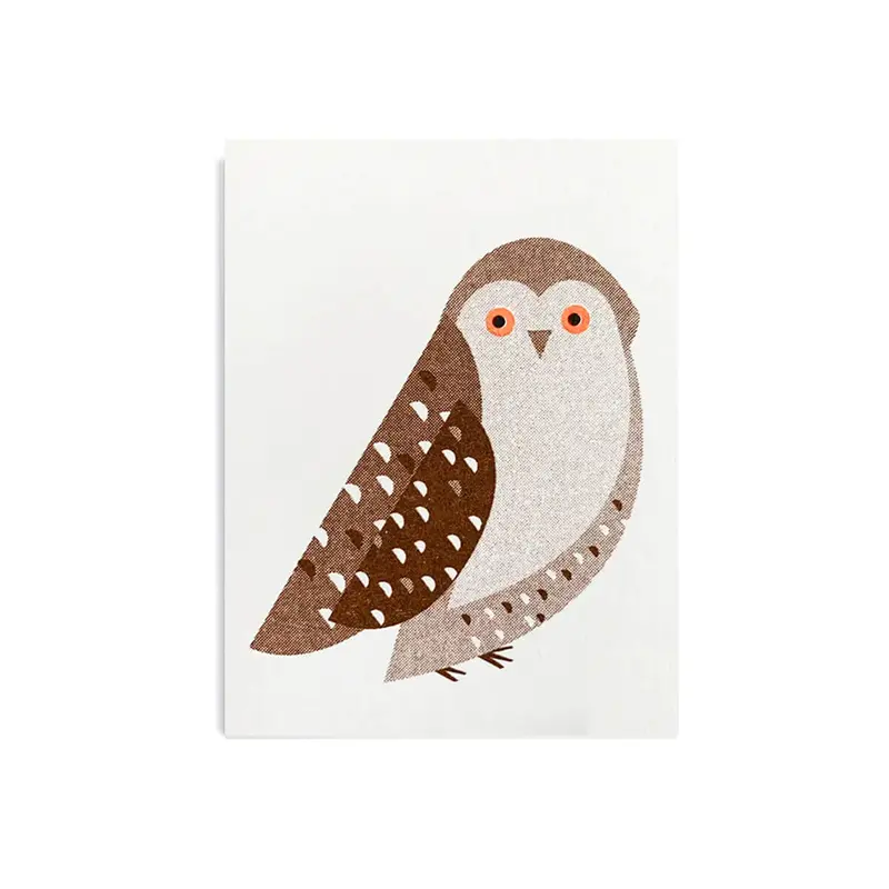 Snowy Owl Greetings Card by Scout Editions