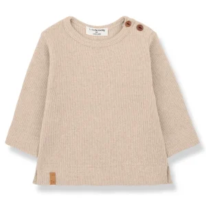 Alfons Top in Tortora by 1+ in the Family