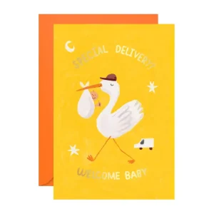 Special Delivery Greetings Card by Ickaprint