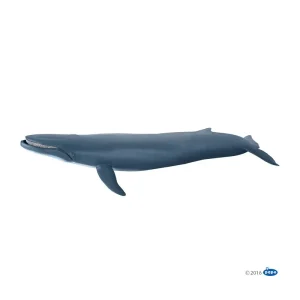 Blue whale