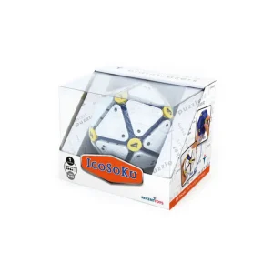 Brainteasers Icosoku