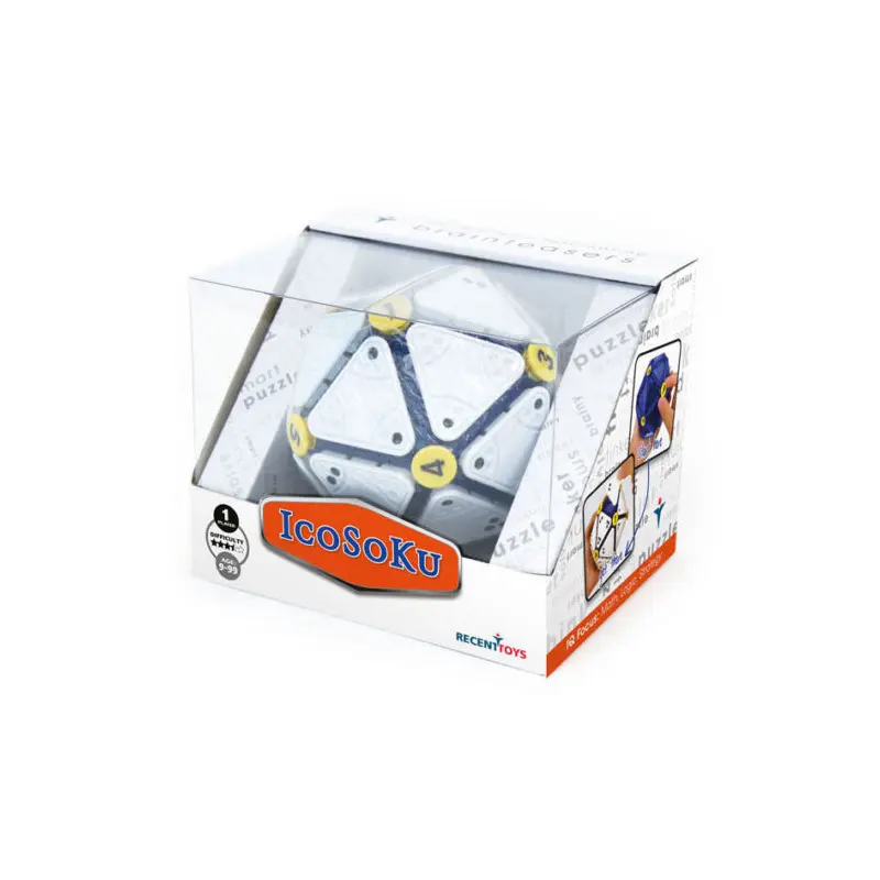 Brainteasers Icosoku