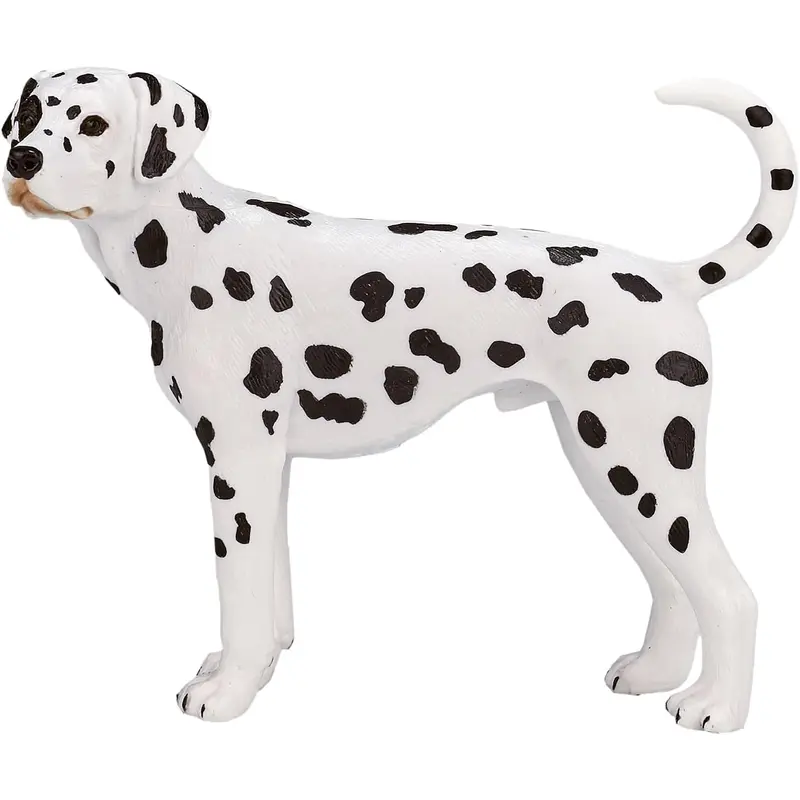 MOJO - Dalmatian