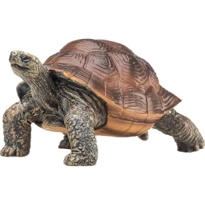 MOJO - Giant Tortoise