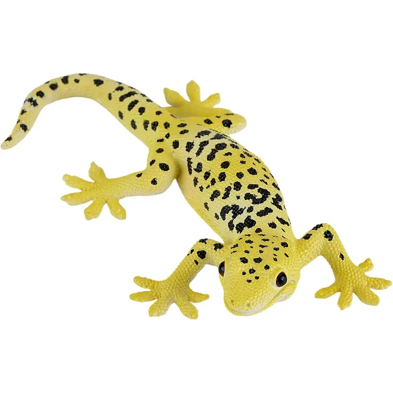 MOJO - Leopard Gecko