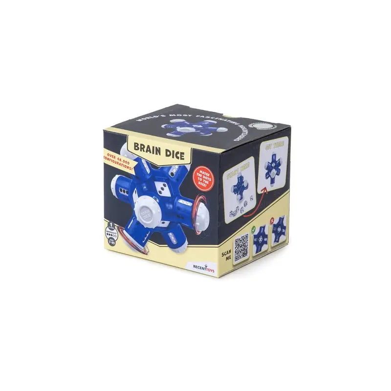 Brainteasers Brain Dice