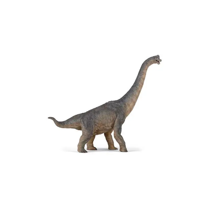 Brachiosaurus