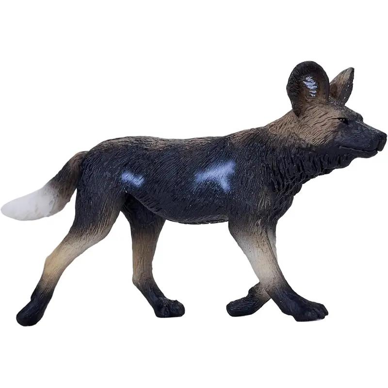 MOJO - African Hunting Dog