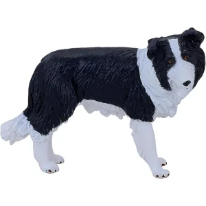 MOJO - Border Collie