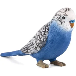 MOJO - Budgerigar Blue