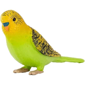MOJO - Budgerigar Green