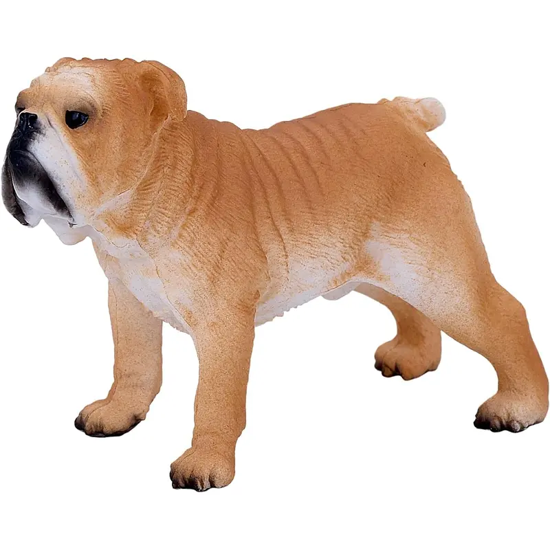 MOJO - English Bulldog