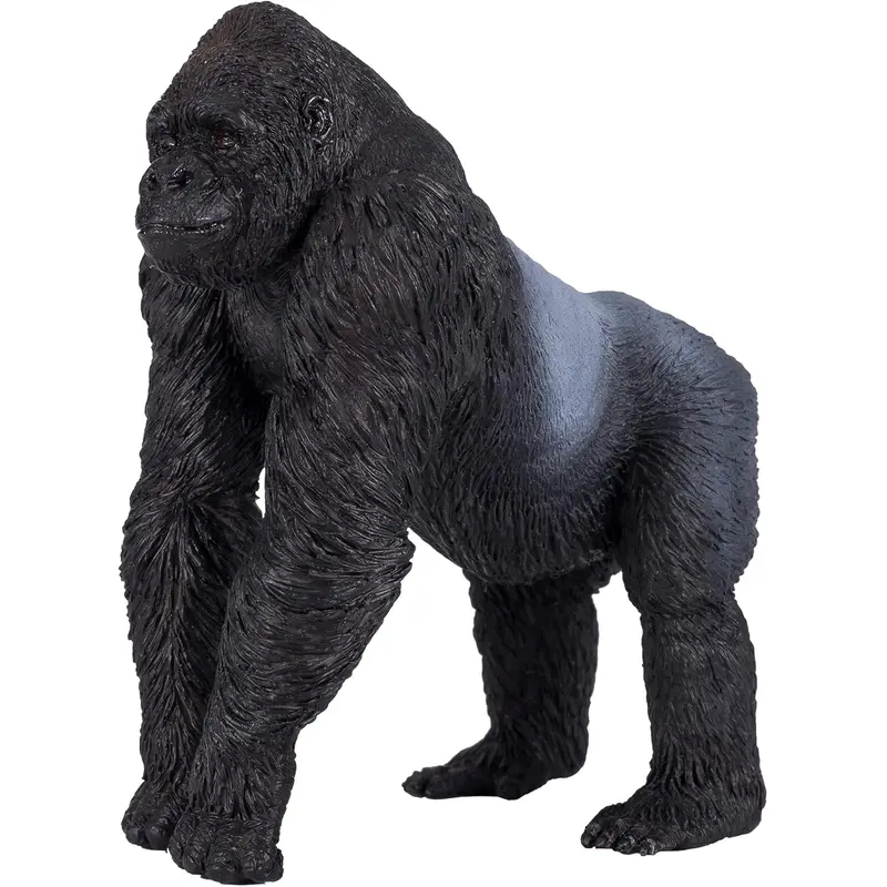 MOJO - Male Silverback Gorilla