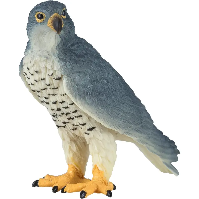 MOJO - Peregrine Falcon