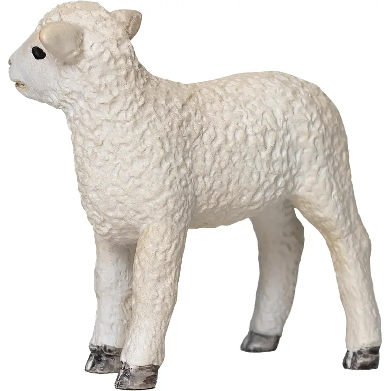 MOJO - Romney Lamb Standing