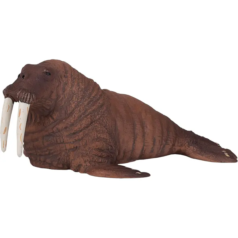 MOJO - Walrus
