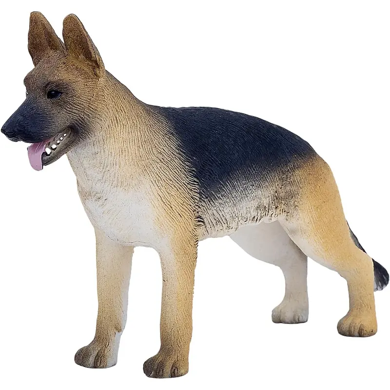 MOJO - German Shepherd