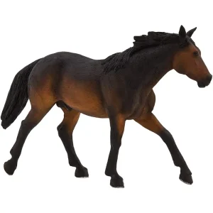 MOJO - Appaloosa Stallion