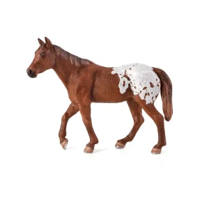 MOJO - Appaloosa Stallion Chestnut