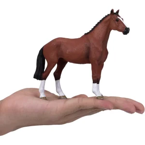 MOJO - Dutch Warmblod - Portugal