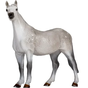 MOJO - Orlov Trotter