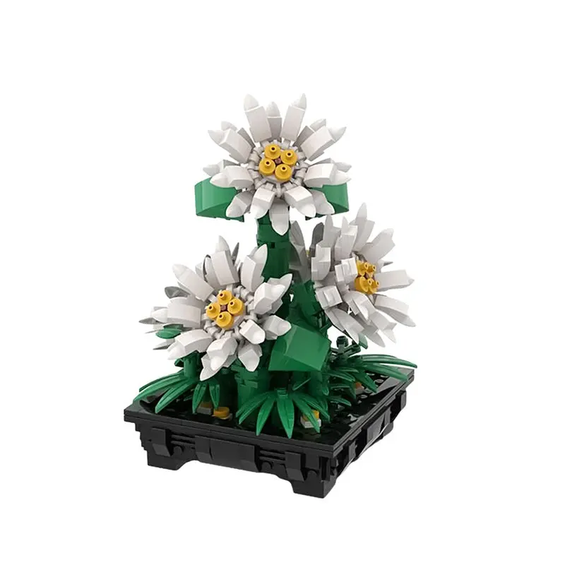 MOC-159352 Daisies