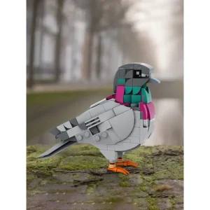 MOC-208738 Feral Pigeon