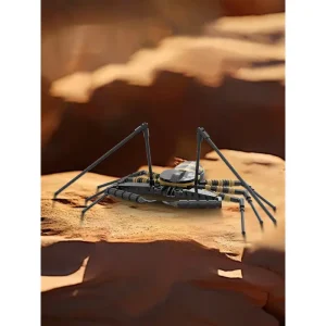 MOC-210098 Tailless Whip Scorpion (Amblypygi Order)