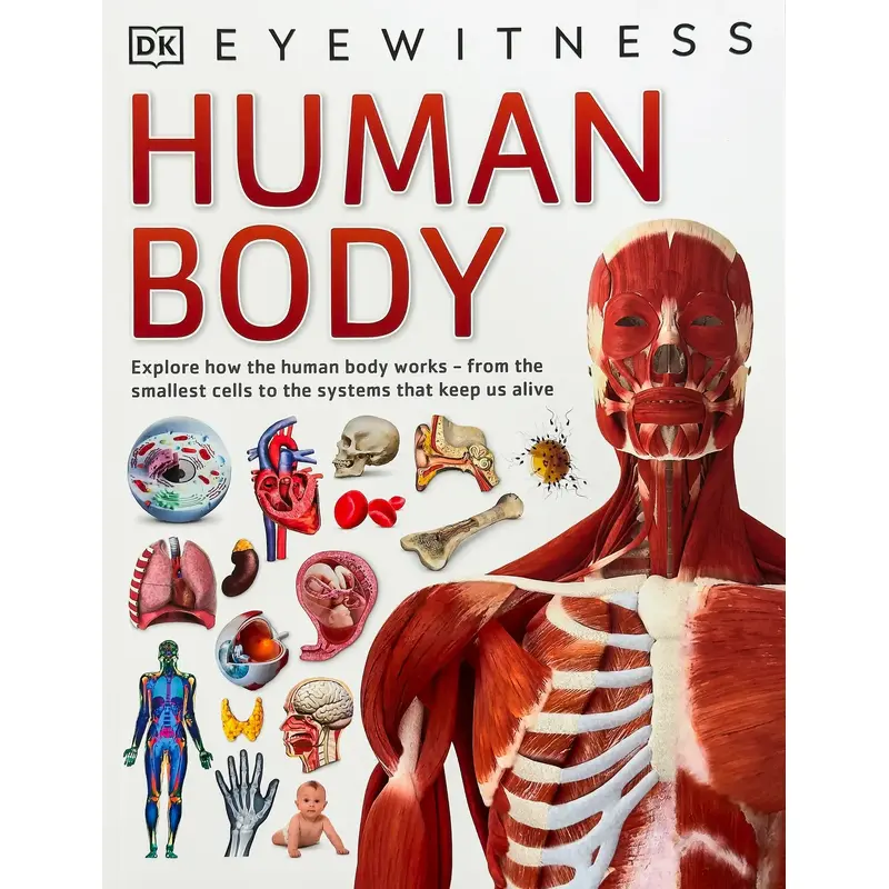 DK Eyewitness Human Body Softback Book