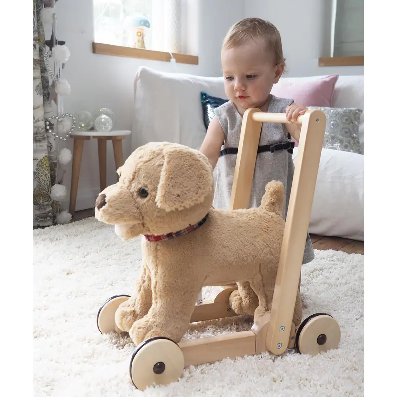 Little Bird Told Me Little Bird Told Me LB3052 Dexter Dog Push Along Baby & Toddler