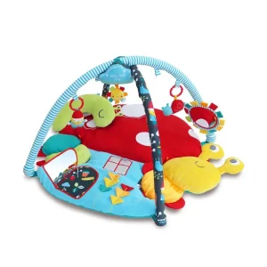 Little Bird Told Me My Little Sunshine Multi-activity Play Gym
