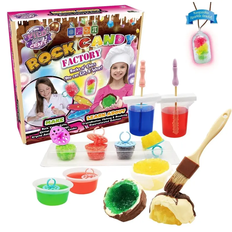 WILD SCIENCE Rock Candy Factory Educational Chemistry Playset