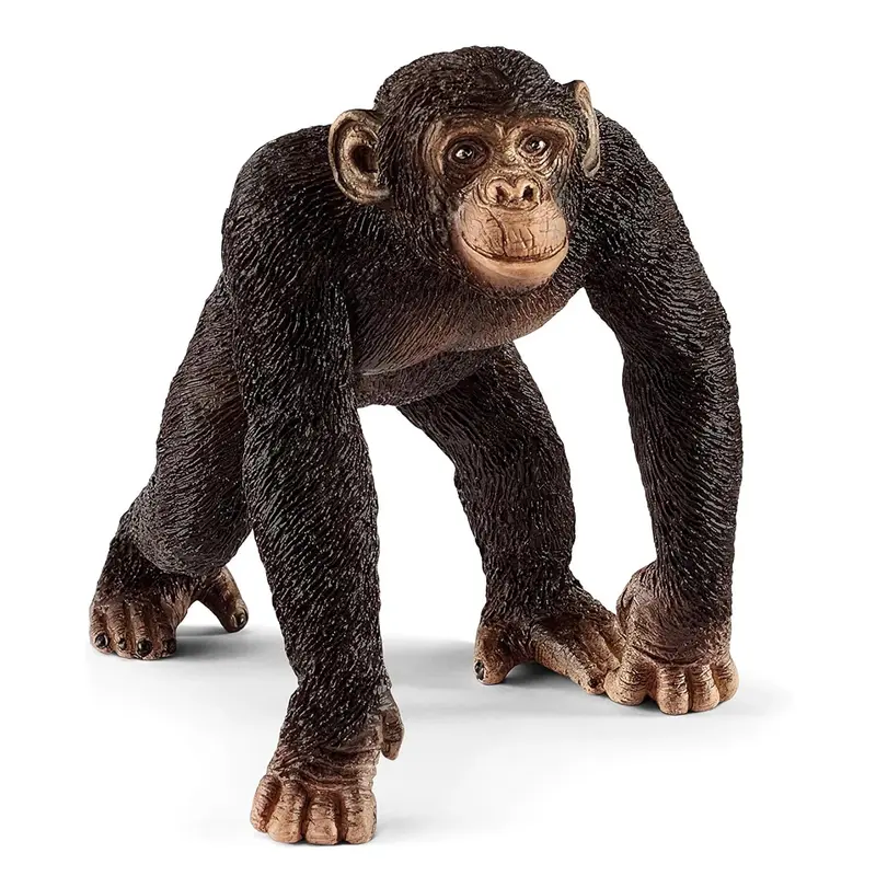 Schleich 14817 Chimpanzee Male Figure