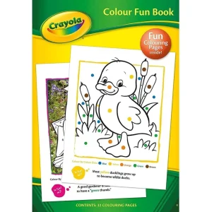 Crayola Colour Fun Activity Book Arts & Crafts