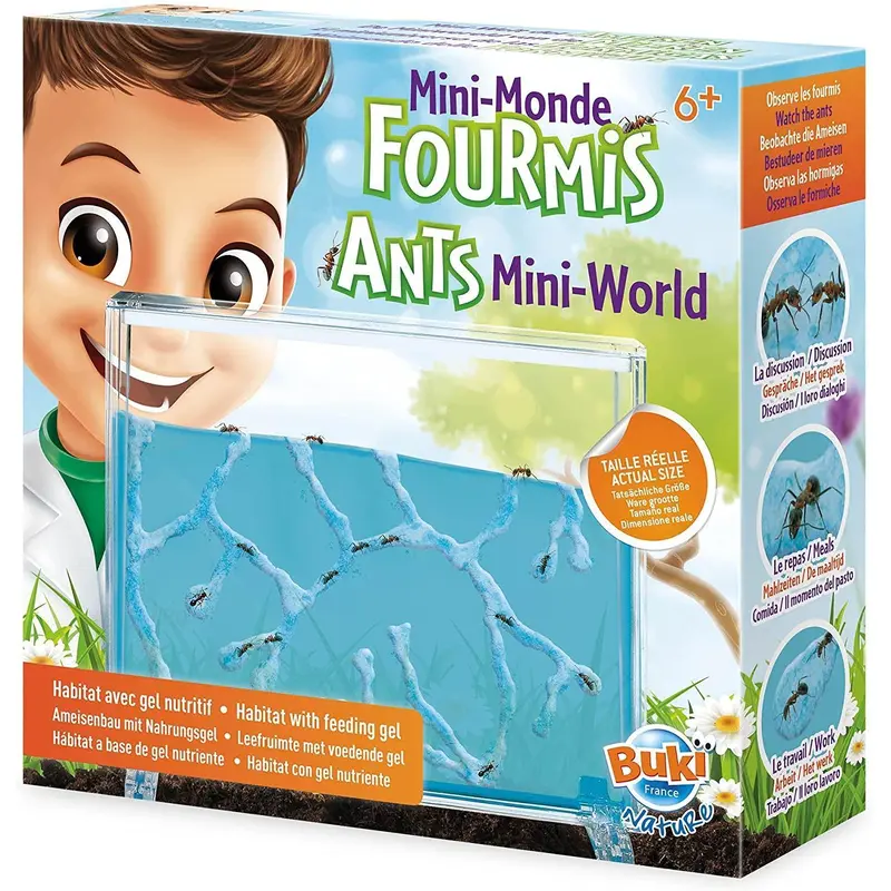 BUKI France Nature Ants Mini-world